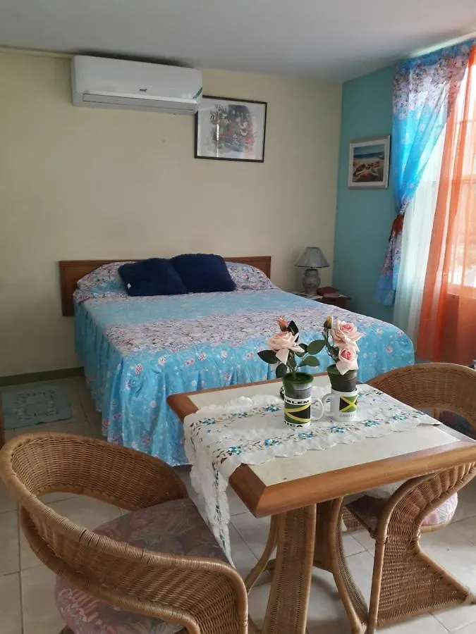 Seacastle Deluxe Studio Montego Bay Jamaica