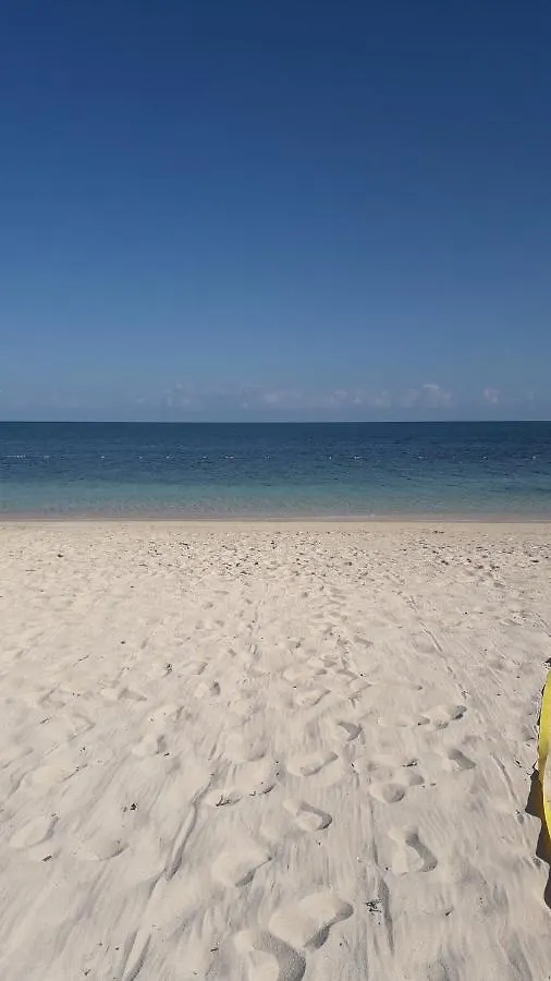 Guest house Seacastle Deluxe Studio Montego Bay