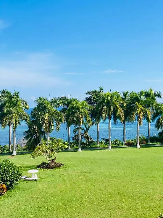 Seacastle Deluxe Studio Montego Bay 0*,  Jamaica
