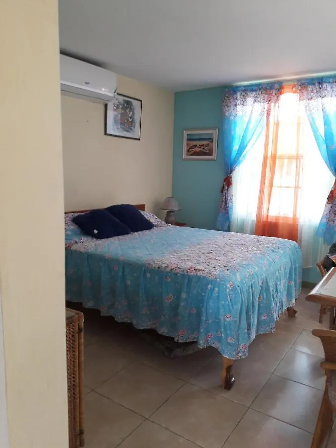 Seacastle Deluxe Studio Montego Bay Guest house