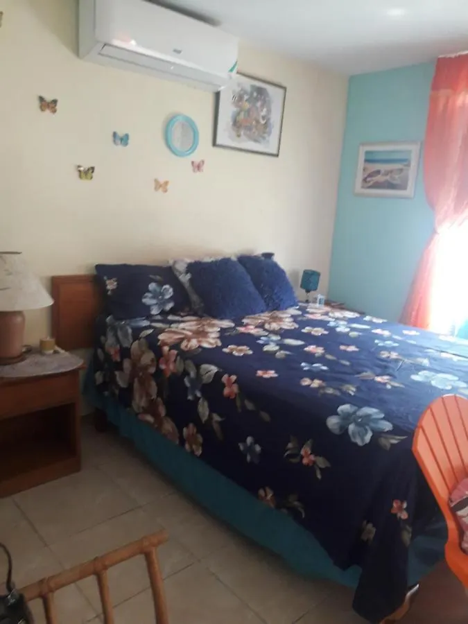 Seacastle Deluxe Studio Montego Bay Guest house