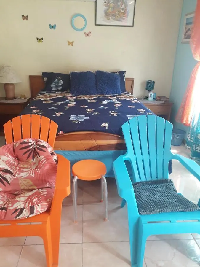 Seacastle Deluxe Studio Montego Bay Guest house