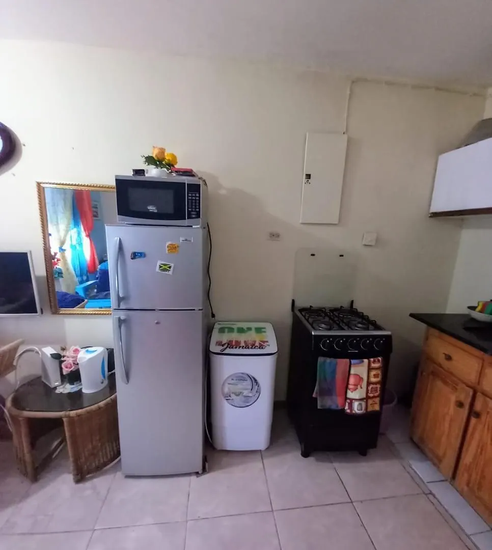 Seacastle Deluxe Studio Montego Bay Guest house